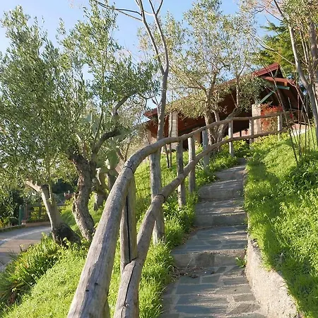 Çiftlik konaklama Eco-bio Santacinnara