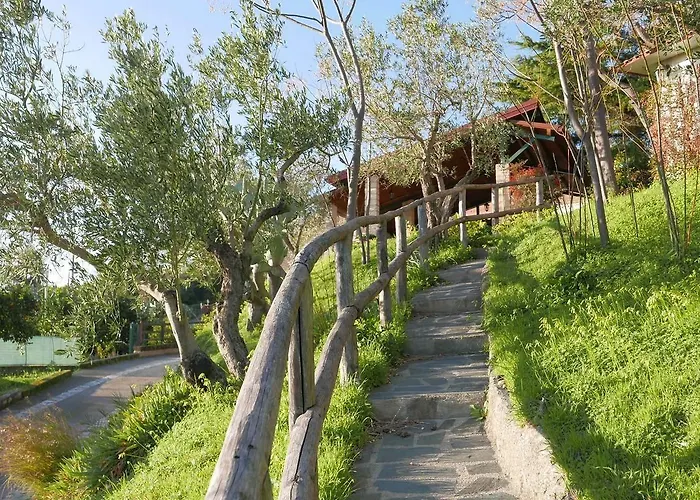 مزرعة للإقامة Eco-bio Santacinnara